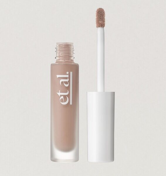Intelligent Skin Cream Concealer